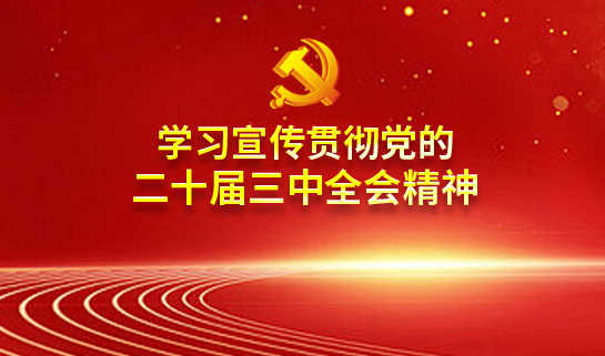 王力剛到魯西集團宣講黨的二十屆三中全會精神